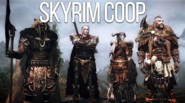 Skyrim co-op