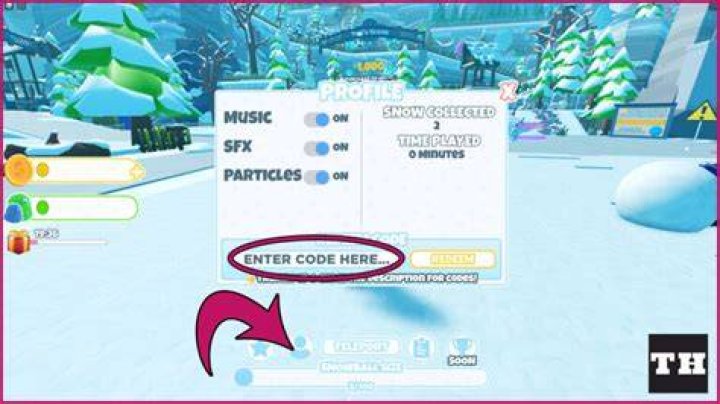 Snowballer Simulator Codes