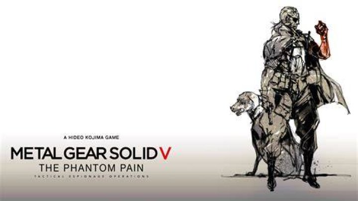 
Solid And Liquid Snake In Metal Gear Solid V: The Phantom Pain?