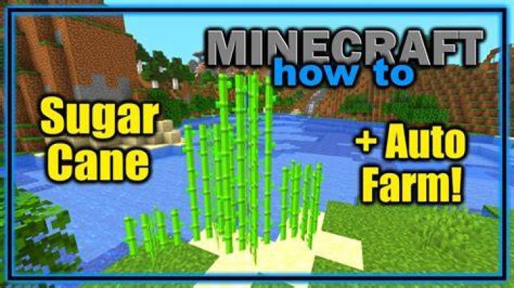 Some Sugar Cane in Minecraft.