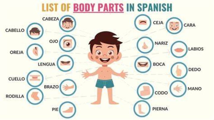 Spanish body (advanced)