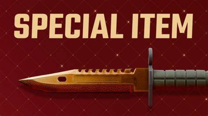 Special Item