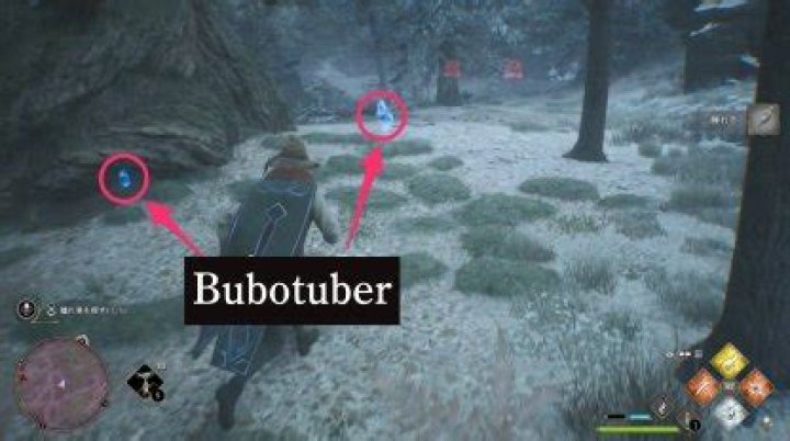 Spot Removal Bubotuber Locations Guide