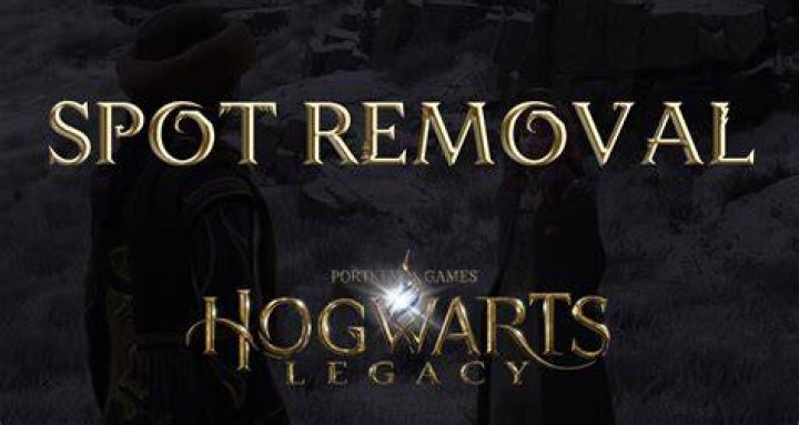 Spot Removal Hogwarts Legacy Side Quest