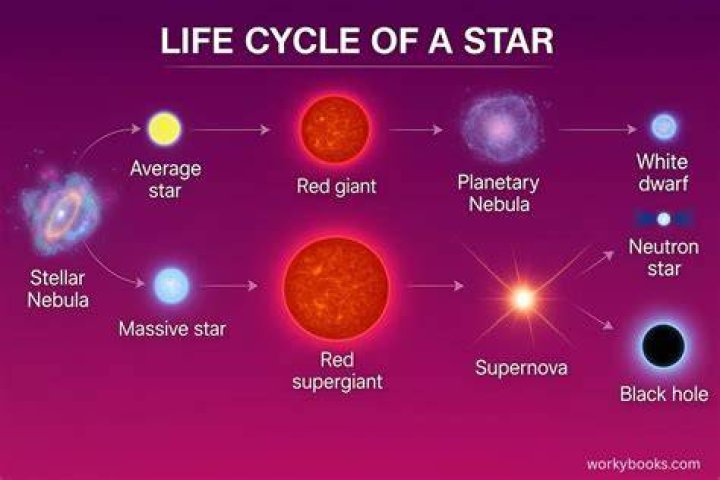Star Life Cycle Quiz