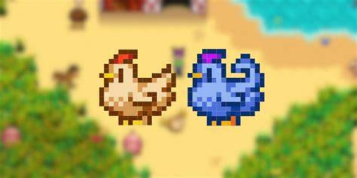 Stardew Valley: How to Get Blue Chickens