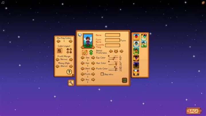Stardew Valley multiplayer farm settings.