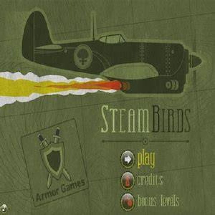 steam birds