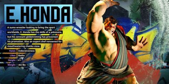 Street Fighter 6 Honda using Sum Spirit