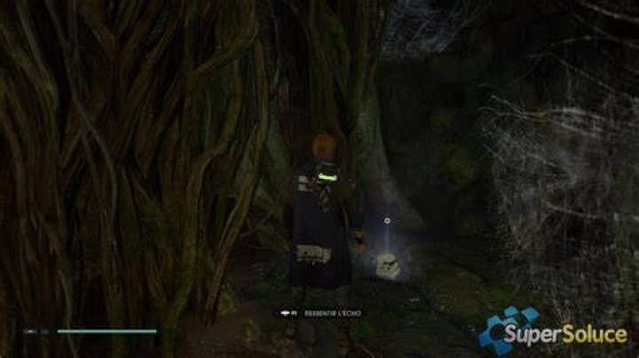 The Creature Force Echoes Location for Databank