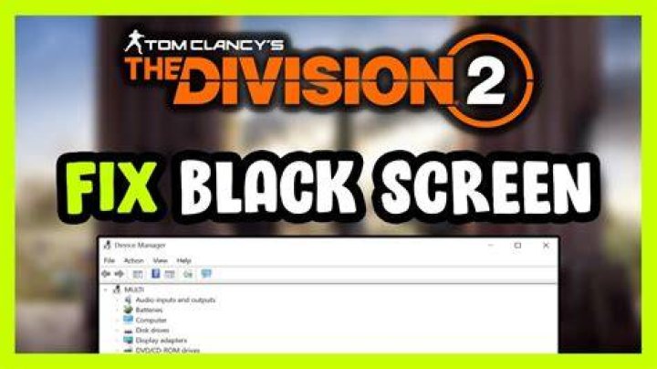 the division 2 black screen