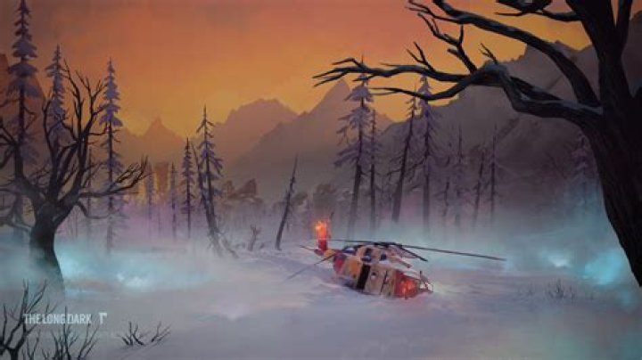 The Long Dark