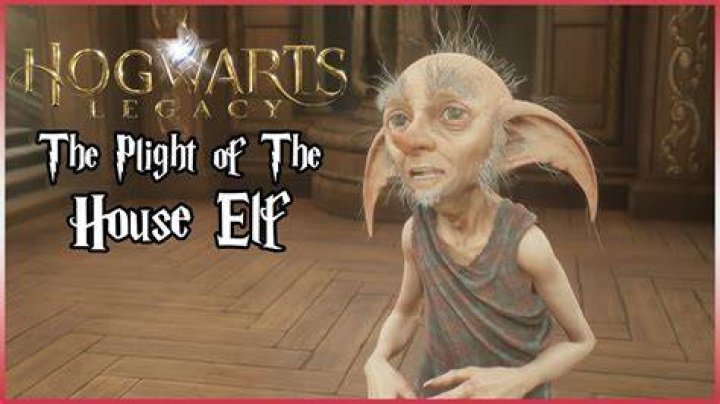 The Plight of the House-Elf Hogwarts Legacy Side Quest