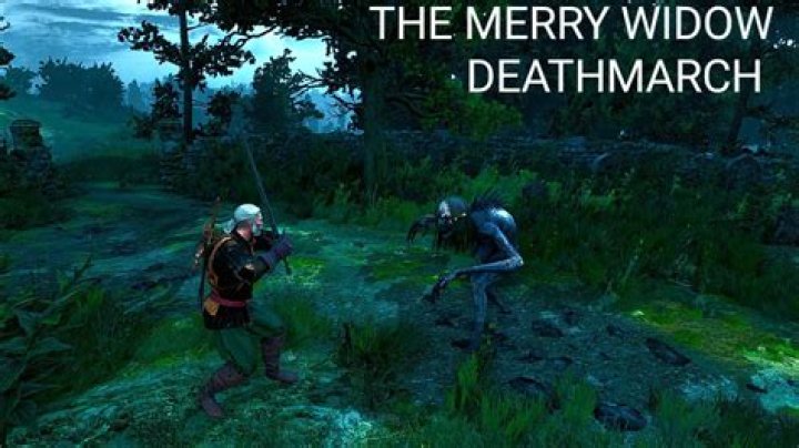 The Witcher 3 - The Merry Widow