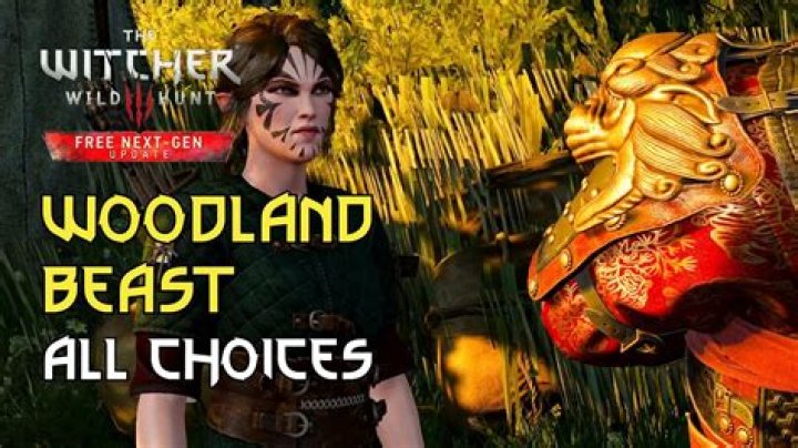 The Witcher 3 - Woodland Beast