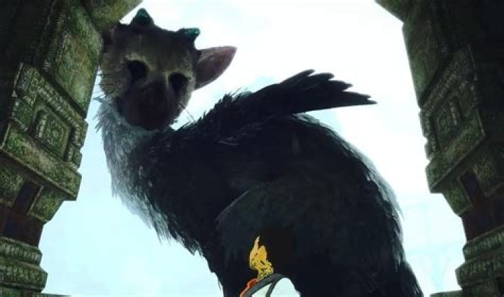 The-Last-Guardian
