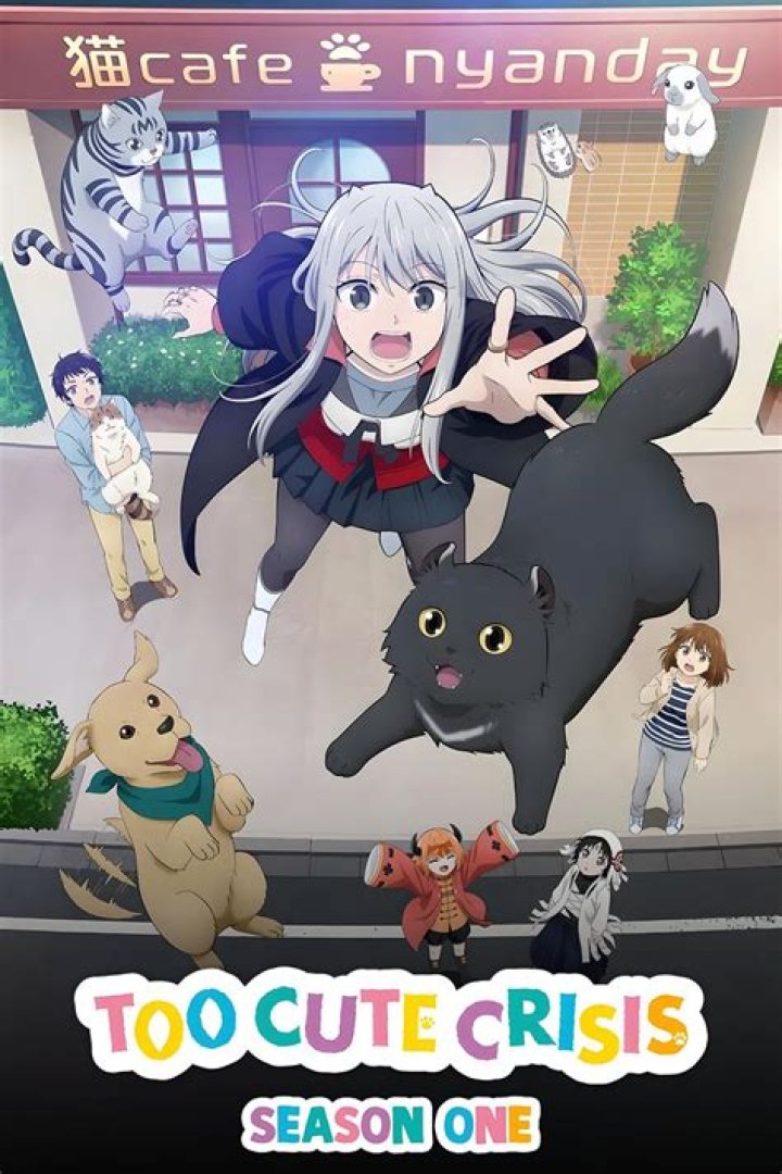 Too Cute Crisis Anime