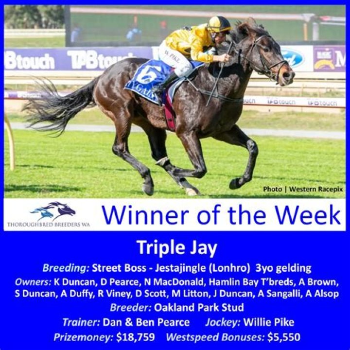 Triple Winner, Week Long Streak