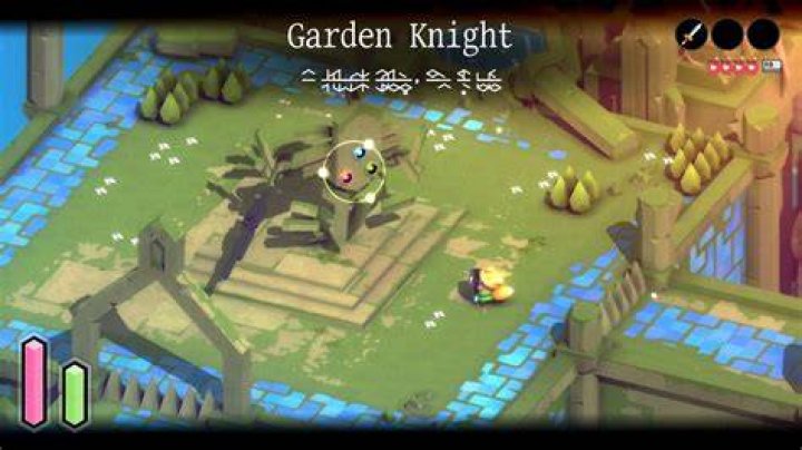 Tunic Garden Knight