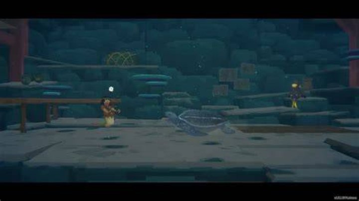 Turtle Panic Dave the Diver