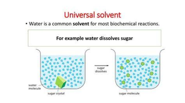 Universal Solvent