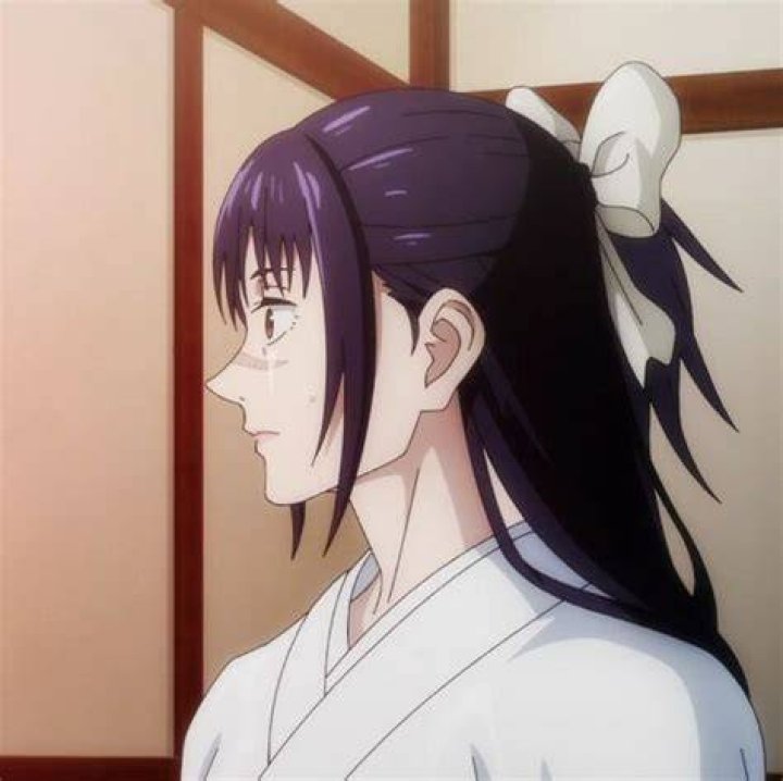 Top 11 Jujutsu Kaisen's Female Characters Utahime-Iori