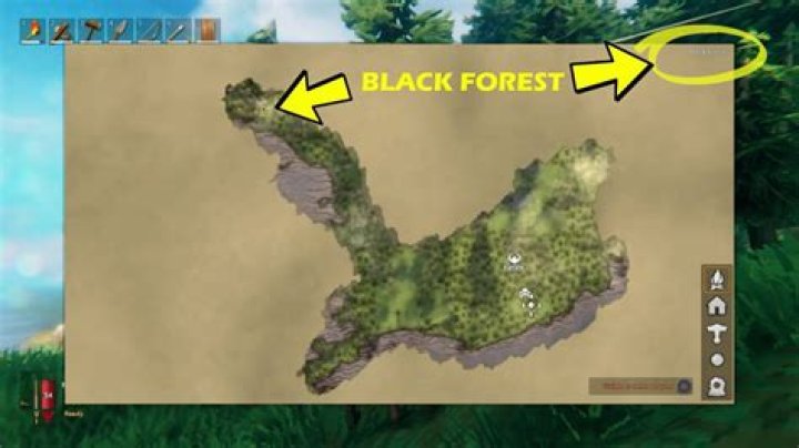 Valheim Black Forest Location