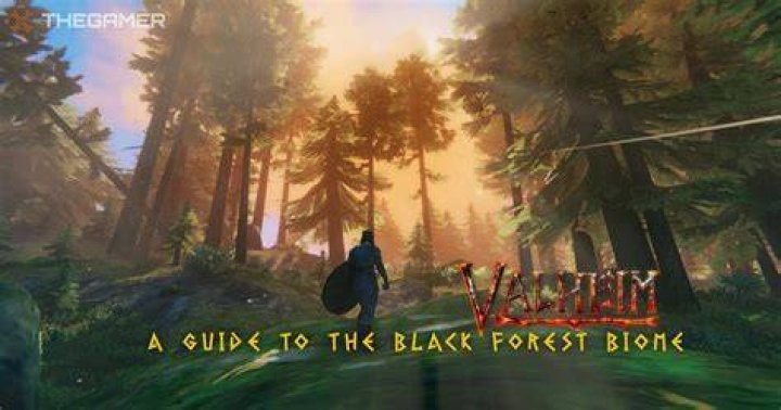valheim black forest