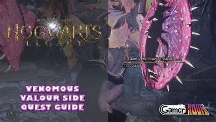 Venomous Valour Hogwarts Legacy Side Quest