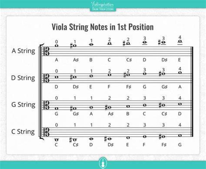 Viola Note Names