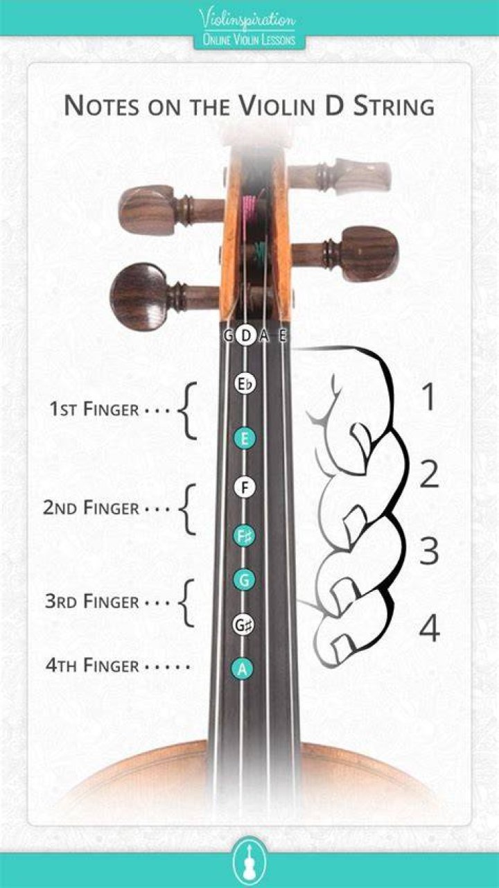 Violin Notes - D, A, E strings