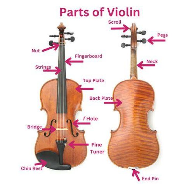 Violin Parts