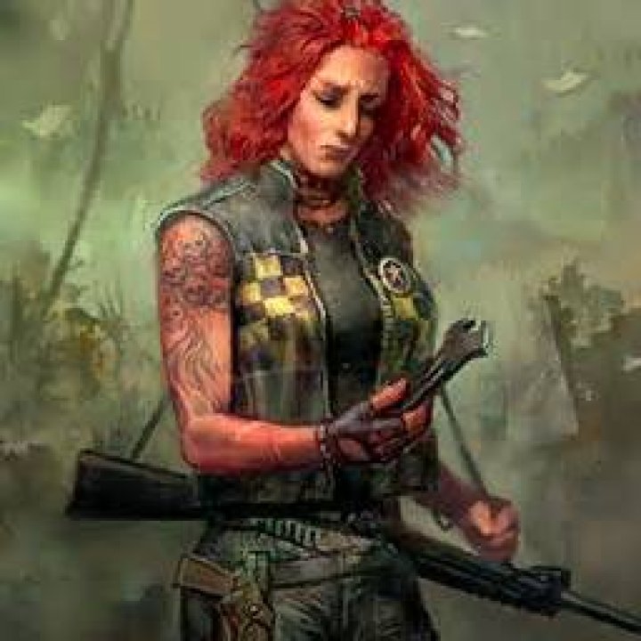 Wasteland 2 - NPC Followers.