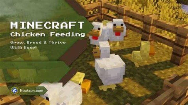What do chickens eat in Minecraft?