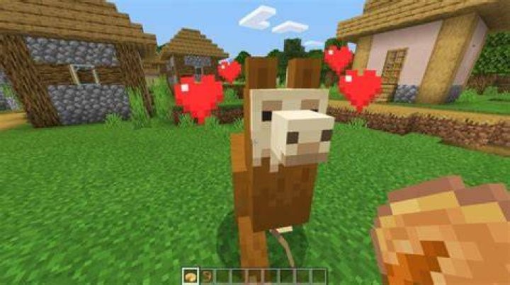 What do Llamas eat in Minecraft?
