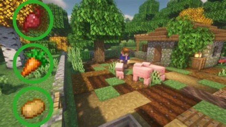 What do Pigs Eat in Minecraft? Answered