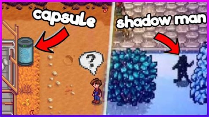 what is the strange capsule stardew valley