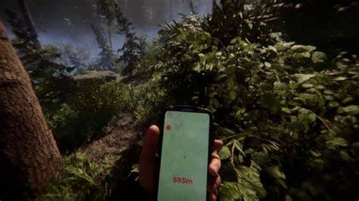 When does Sons of the Forest take place?
