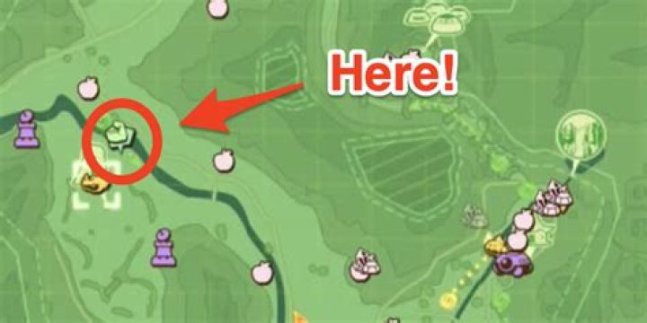 Where To Find Fatty Giant Fish