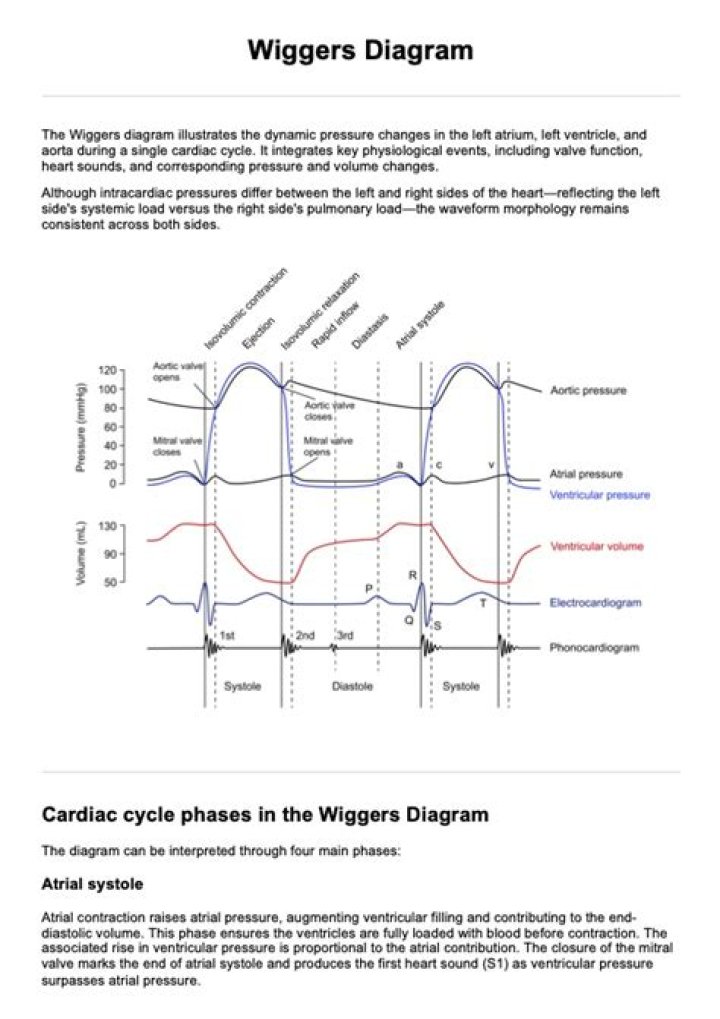 Wiggers' Diagram