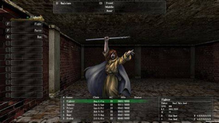 Wizardry Online Pulled From Steam To Resolve Numerous Technical Issues