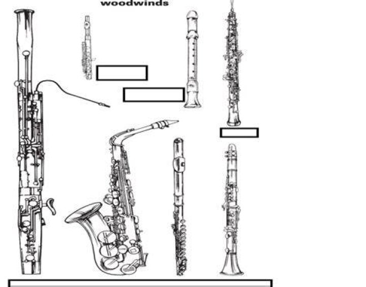 Woodwind Instruments | Quiz