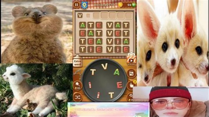 Word Cookies Astounding Chef-Coriander Level 14 Answers Word Cookies Astounding Chef-Coriander Level 14 Answers