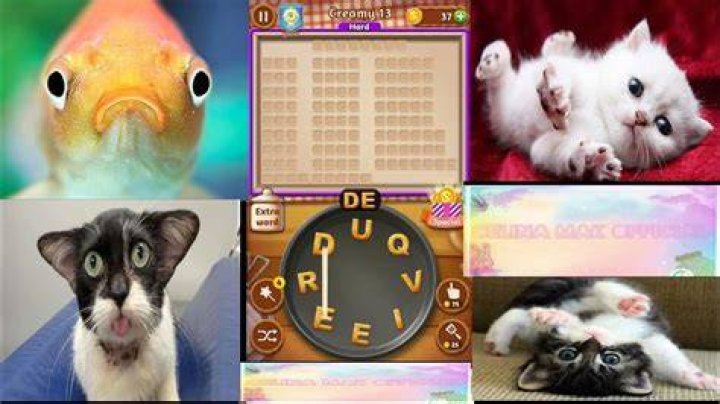Word Cookies Wondrous Chef-Creamy Level 2 Answers Word Cookies Wondrous Chef-Creamy Level 2 Answers