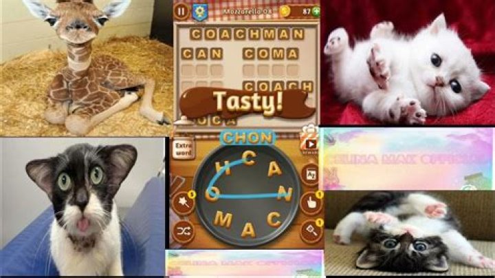 Word Cookies Wondrous Chef-Mozzarella Level 12 Answers
